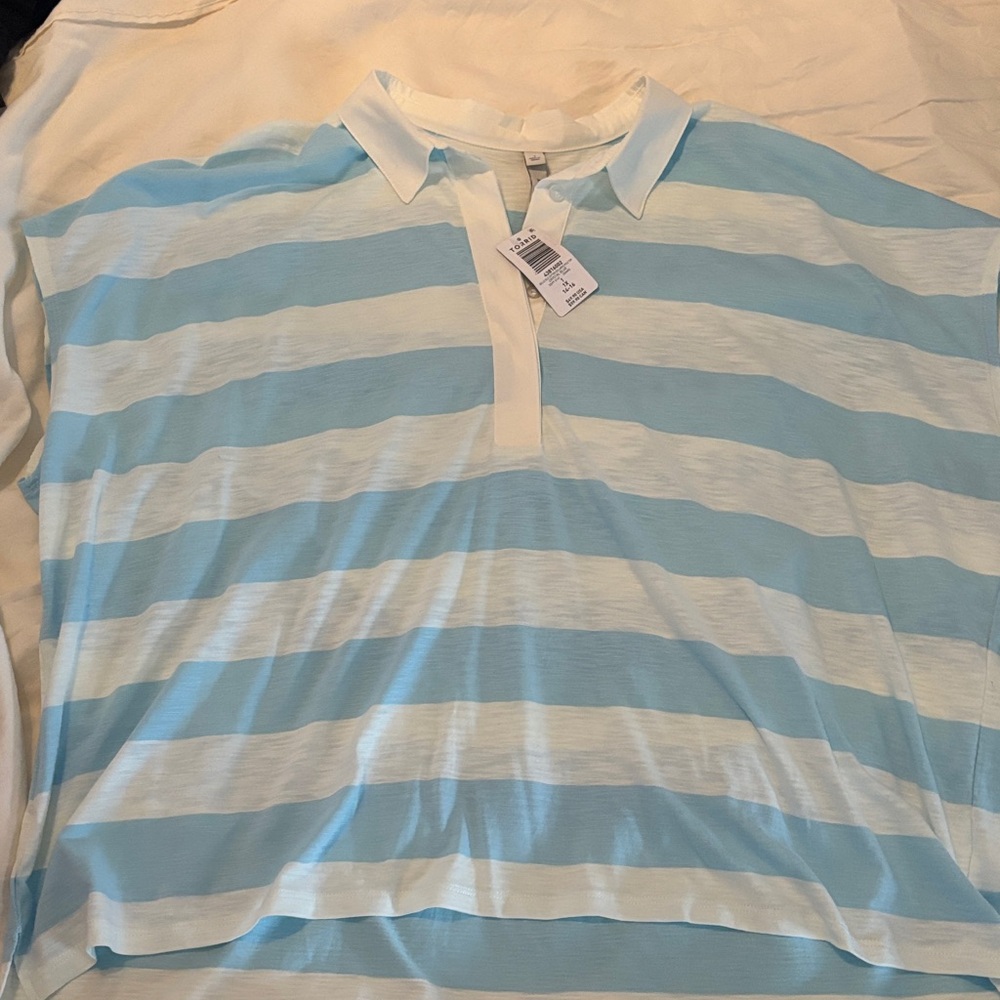 Torrid Light Blue and Cream Striped Blouse